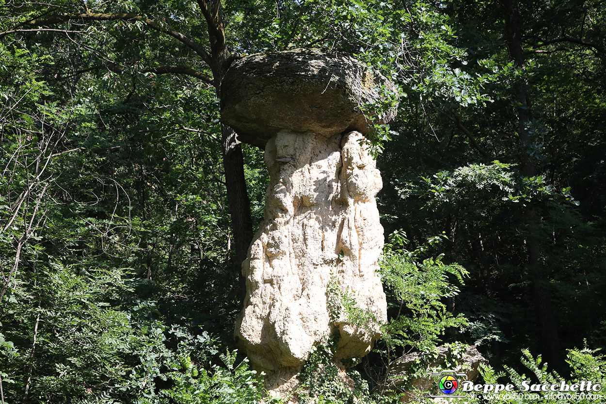 VBS_8926 - I Ciciu del Villar. Villar San Costanzo. Val Maira (Cuneo).jpg